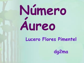 Número Áureo Lucero Flores Pimentel  dg2ma 