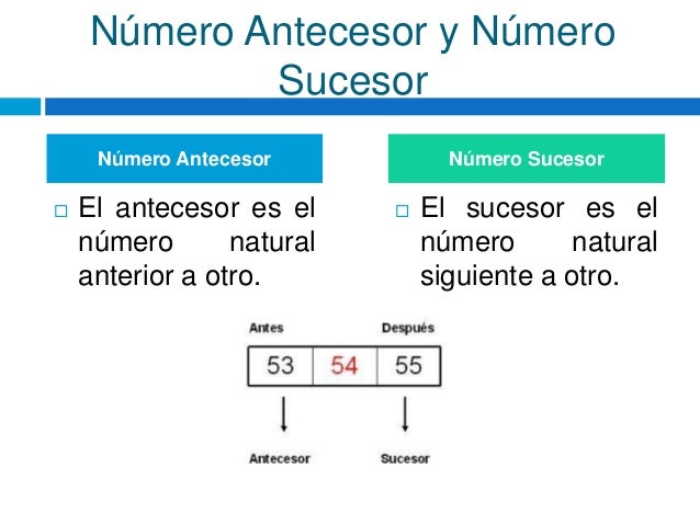 Numero Antecesor Y Sucesor