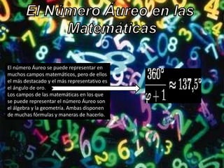 El número Áureo se puede representar en
muchos campos matemáticos, pero de ellos
el más destacado y el más representativo es
el ángulo de oro.
Los campos de las matemáticas en los que
se puede representar el número Áureo son
el álgebra y la geometría. Ambas disponen
de muchas fórmulas y maneras de hacerlo.
 
