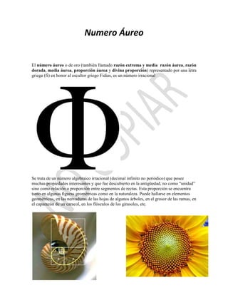 Numero Áureo


El número áureo o de oro (también llamado razón extrema y media razón áurea, razón
dorada, media áurea, proporción áurea y divina proporción) representado por una letra
griega (fi) en honor al escultor griego Fidias, es un número irracional




Se trata de un número algebraico irracional (decimal infinito no periódico) que posee
muchas propiedades interesantes y que fue descubierto en la antigüedad, no como “unidad”
sino como relación o proporción entre segmentos de rectas. Esta proporción se encuentra
tanto en algunas figuras geométricas como en la naturaleza. Puede hallarse en elementos
geométricos, en las nervaduras de las hojas de algunos árboles, en el grosor de las ramas, en
el caparazón de un caracol, en los flósculos de los girasoles, etc.
 