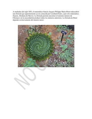 A mediados del siglo XIX, el matemático francés Jacques Philippe Marie Binet redescubrió
una fórmula que aparentemente ya era conocida por Leonhard Euler, y por otro matemático
francés, Abraham de Moivre. La fórmula permite encontrar el enésimo número de
Fibonacci sin la necesidad de producir todos los números anteriores. La fórmula de Binet
depende exclusivamente del número áureo:
 