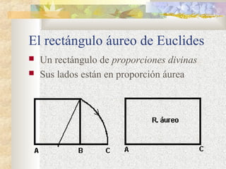 El rectángulo áureo de Euclides 
 Un rectángulo de proporciones divinas 
 Sus lados están en proporción áurea 
 