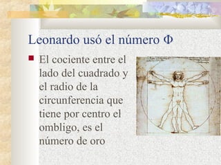 Leonardo usó el número Φ 
 Εl cociente entre el 
lado del cuadrado y 
el radio de la 
circunferencia que 
tiene por centro el 
ombligo, es el 
número de oro 
 
