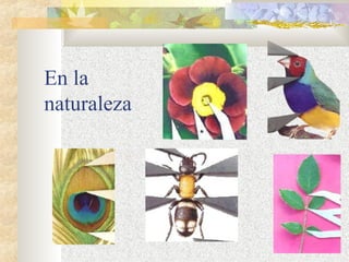 En la 
naturaleza 
 