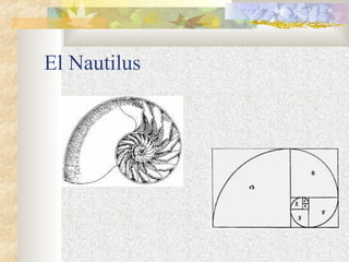 El Nautilus 
 