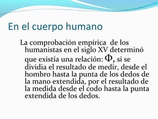 En el cuerpo humano
  La comprobación empírica de los
   humanistas en el siglo XV determinó
   que existía una relación: Φ, si se
   dividia el resultado de medir, desde el
   hombro hasta la punta de los dedos de
   la mano extendida, por el resultado de
   la medida desde el codo hasta la punta
   extendida de los dedos.
 