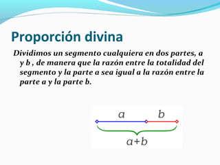 Proporción divina
Dividimos un segmento cualquiera en dos partes, a
 y b , de manera que la razón entre la totalidad del
 segmento y la parte a sea igual a la razón entre la
 parte a y la parte b.
 