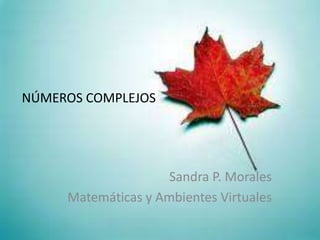 NÚMEROS COMPLEJOS




                     Sandra P. Morales
     Matemáticas y Ambientes Virtuales
 