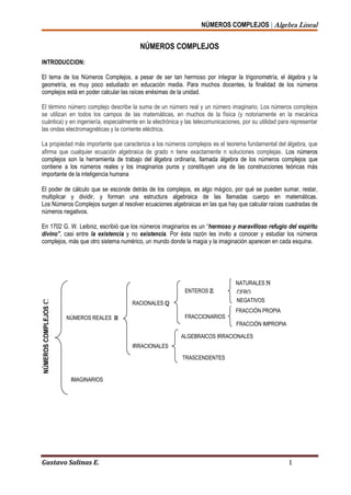 NÚMEROS COMPLEJOS | Algebra Lineal
Gustavo Salinas E. 1
NÚMEROS COMPLEJOS
INTRODUCCION:
El tema de los Números Complejos, a pesar de ser tan hermoso por integrar la trigonometría, el álgebra y la
geometría, es muy poco estudiado en educación media. Para muchos docentes, la finalidad de los números
complejos está en poder calcular las raíces enésimas de la unidad.
El término número complejo describe la suma de un número real y un número imaginario. Los números complejos
se utilizan en todos los campos de las matemáticas, en muchos de la física (y notoriamente en la mecánica
cuántica) y en ingeniería, especialmente en la electrónica y las telecomunicaciones, por su utilidad para representar
las ondas electromagnéticas y la corriente eléctrica.
La propiedad más importante que caracteriza a los números complejos es el teorema fundamental del álgebra, que
afirma que cualquier ecuación algebraica de grado n tiene exactamente n soluciones complejas. Los números
complejos son la herramienta de trabajo del álgebra ordinaria, llamada álgebra de los números complejos que
contiene a los números reales y los imaginarios puros y constituyen una de las construcciones teóricas más
importante de la inteligencia humana
El poder de cálculo que se esconde detrás de los complejos, es algo mágico, por qué se pueden sumar, restar,
multiplicar y dividir, y forman una estructura algebraica de las llamadas cuerpo en matemáticas.
Los Números Complejos surgen al resolver ecuaciones algebraicas en las que hay que calcular raíces cuadradas de
números negativos.
En 1702 G. W. Leibniz, escribió que los números imaginarios es un “hermoso y maravilloso refugio del espíritu
divino”, casi entre la existencia y no existencia. Por ésta razón les invito a conocer y estudiar los números
complejos, más que otro sistema numérico, un mundo donde la magia y la imaginación aparecen en cada esquina.
FRACCIÓN IMPROPIA
NÚMEROSCOMPLEJOS
NÚMEROS REALES 
IMAGINARIOS
RACIONALES 
IRRACIONALES
ENTEROS 
FRACCIONARIOS
ALGEBRAICOS IRRACIONALES
TRASCENDENTES
FRACCIÓN PROPIA
NATURALES 
CERO
NEGATIVOS
 