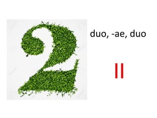 duo, -ae, duo
II
 