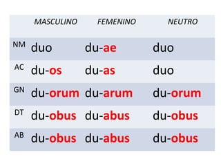 MASCULINO FEMENINO NEUTRO
NM
duo du-ae duo
AC
du-os du-as duo
GN
du-orum du-arum du-orum
DT
du-obus du-abus du-obus
AB
du-obus du-abus du-obus
 