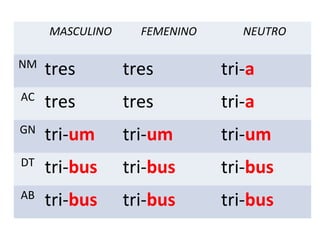 MASCULINO FEMENINO NEUTRO
NM
tres tres tri-a
AC
tres tres tri-a
GN
tri-um tri-um tri-um
DT
tri-bus tri-bus tri-bus
AB
tri-bus tri-bus tri-bus
 