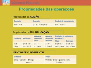 Números Naturais
      Propriedades das operações
 Propriedades da ADIÇÃO




 Propriedades da MULTIPLICAÇÃO




 IDENTIDADE FUNDAMENTAL
 