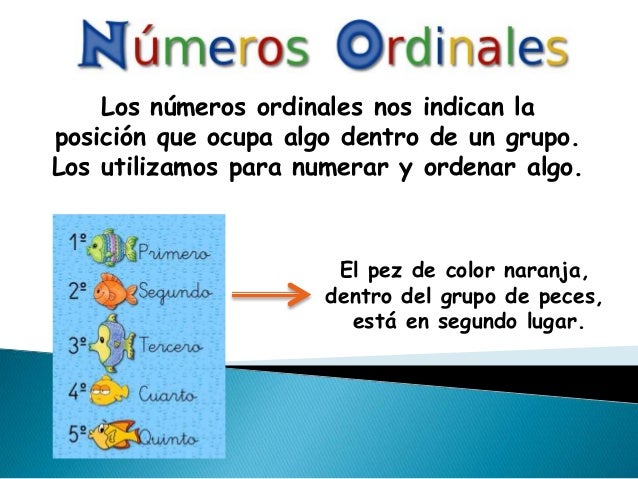 Los números ordinales nos indican la
posición que ocupa algo dentro de un grupo.
Los utilizamos para numerar y ordenar alg...