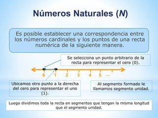 Números Naturales (N) 
Es posible establecer una correspondencia entre 
los números cardinales y los puntos de una recta 
numérica de la siguiente manera. 
Se selecciona un punto arbitrario de la 
recta para representar el cero (0). 
0 1 2 3 4 5 … 
Ubicamos otro punto a la derecha 
del cero para representar el uno 
(1). 
Al segmento formado le 
llamamos segmento unidad. 
Luego dividimos toda la recta en segmentos que tengan la misma longitud 
que el segmento unidad. 
 