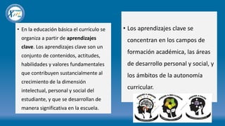 • En la educación básica el currículo se
organiza a partir de aprendizajes
clave. Los aprendizajes clave son un
conjunto de contenidos, actitudes,
habilidades y valores fundamentales
que contribuyen sustancialmente al
crecimiento de la dimensión
intelectual, personal y social del
estudiante, y que se desarrollan de
manera significativa en la escuela.
• Los aprendizajes clave se
concentran en los campos de
formación académica, las áreas
de desarrollo personal y social, y
los ámbitos de la autonomía
curricular.
 