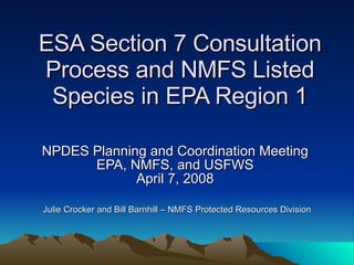 ESA Section 7 Consultation Process and NMFS Listed Species in EPA Region 1 NPDES Planning and Coordination Meeting  EPA, NMFS, and USFWS  April 7, 2008  Julie Crocker and Bill Barnhill – NMFS Protected Resources Division 