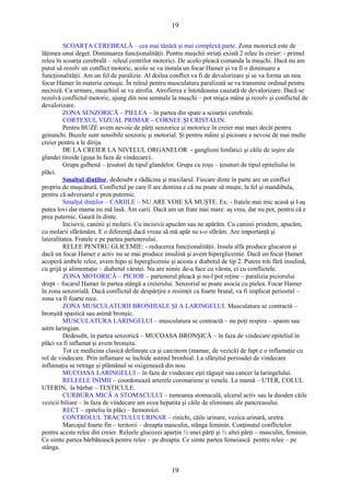 19 
SCOARŢA CEREBRALĂ – cea mai tânără şi mai complexă parte. Zona motorică este de 
lăţimea unui deget. Diminuarea funcţionalităţii. Pentru muşchii striaţi există 2 relee în creier: - primul 
releu în scoarţa cerebrală – releul centrilor motorici. De acolo pleacă comanda la muşchi. Dacă nu am 
putut să rezolv un conflict motoric, acolo se va instala un focar Hamer şi va fi o diminuare a 
funcţionalităţii. Am un fel de paralizie. Al doilea conflict va fi de devalorizare şi se va forma un nou 
focar Hamer în materia cenuşie. În releul pentru musculatura paralizată se va transmite ordinul pentru 
necroză. Ca urmare, muşchiul se va atrofia. Atrofierea e întotdeauna cauzată de devalorizare. Dacă se 
rezolvă conflictul motoric, ajung din nou semnale la muşchi – pot mişca mâna şi rezolv şi conflictul de 
devalorizare. 
ZONA SENZORICĂ – PIELEA – în partea din spate a scoarţei cerebrale. 
CORTEXUL VIZUAL PRIMAR – CORNEE ŞI CRISTALIN. 
Pentru BUZE avem nevoie de părţi senzorice şi motorice în creier mai mari decât pentru 
genunchi. Buzele sunt sensibile senzoric şi motorial. Şi pentru mâini şi picioare e nevoie de mai multe 
creier pentru a le dirija. 
DE LA CREIER LA NIVELUL ORGANELOR - ganglioni limfatici şi căile de ieşire ale 
glandei tiroide (guşa în faza de vindecare). 
Grupa galbenă – ţesuturi de tipul glandelor. Grupa cu roşu – ţesuturi de tipul epiteliului în 
plăci. 
Smalţul dinţilor, dedesubt e rădăcina şi maxilarul. Fiecare dinte în parte are un conflict 
propriu de muşcătură. Conflictul pe care îl are dentina e că nu poate să muşte, la fel şi mandibula, 
pentru că adversarul e prea puternic. 
Smalţul dinţilor – CARIILE – NU ARE VOIE SĂ MUŞTE. Ex: - fratele mai mic acasă şi l-aş 
putea lovi dar mama nu mă lasă. Am carii. Dacă am un frate mai mare: aş vrea, dar nu pot, pentru că e 
prea puternic. Gaură în dinte. 
Incisivii, caninii şi molarii. Cu incisivii apucăm sau ne apărăm. Cu caninii prindem, apucăm, 
cu molarii sfărâmăm. E o diferenţă dacă vreau să mă apăr su s-o sfărâm. Are importanţă şi 
lateralitatea. Fratele e pe partea partenerului. 
RELEE PENTRU GLICEMIE: - reducerea funcţionalităţii. Insula alfa produce glucaron şi 
dacă un focar Hamer e activ nu se mai produce insulină şi avem hiperglicemie. Dacă un focar Hamer 
acoperă ambele relee, avem hipo şi hiperglicemie şi acesta e diabetul de tip 2. Putem trăi fără insulină, 
cu grijă şi alimentaţie – diabetul vârstei. Nu are nimic de-a face cu vârsta, ci cu conflictele. 
ZONA MOTORICĂ – PICIOR – partenerul pleacă şi nu-l pot reţine – paralizia piciorului 
drept – focarul Hamer în partea stângă a creierului. Senzorial se poate asocia cu pielea. Focar Hamer 
în zona senzorială. Dacă conflictul de despărţire e resimţit ca foarte brutal, va fi implicat periostul – 
zona va fi foarte rece. 
ZONA MUSCULATURII BRONHIALE ŞI A LARINGELUI. Musculatura se contractă – 
bronşită spastică sau astmă bronşic. 
MUSCULATURA LARINGELUI – musculatura se contractă – nu poţi respira – spasm sau 
astm laringian. 
Dedesubt, în partea senzorică – MUCOASA BRONŞICĂ – în faza de vindecare epiteliul în 
plăci va fi inflamat şi avem bronşita. 
Tot ce medicina clasică defineşte ca şi carcinom (mamar, de vezică) de fapt e o inflamaţie cu 
rol de vindecare. Prin inflamare se închide astmul bronhial. La sfârşitul perioadei de vindecare 
inflamaţia se retrage şi plămânul se oxigenează din nou. 
MUCOASA LARINGELUI – în faza de vindecare eşti răguşit sau cancer la laringelului. 
RELEELE INIMII – coordonează arterele coronariene şi venele. La mamă – UTER, COLUL 
UTERIN, la bărbat – TESTICULE. 
CURBURA MICĂ A STOMACULUI – tumoarea stomacală, ulcerul activ sau la duoden căile 
vezicii biliare – în faza de vindecare am avea hepatita şi căile de eliminare ale pancreasului. 
RECT – epiteliu în plăci – hemoroizi. 
CONTROLUL TRACTULUI URINAR – rinichi, căile urinare, vezica urinară, uretra. 
Marcajul foarte fin – teritorii – dreapta masculin, stânga feminin. Conţinutul conflictelor 
pentru aceste relee din creier. Releele glucozei aparţin ½ unei părţi şi ½ altei părţi – masculin, feminin. 
Ce simte partea bărbătească pentru relee – pe dreapta. Ce simte partea femeiască pentru relee – pe 
stânga. 
19 
 