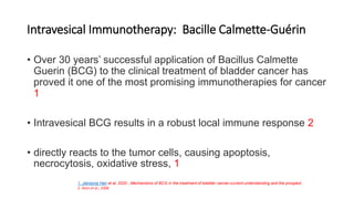 Nmibc, NON MUSCLE INVASIVE BLADDER CANCER | PPTX