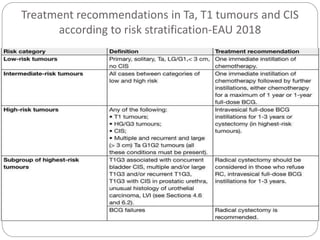 Management of Non Muscle Invasive Bladder Cancer | PPTX