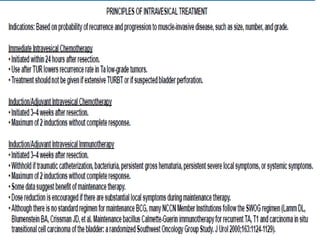 Management of Non Muscle Invasive Bladder Cancer | PPTX