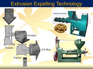 Extrusion Expelling Technology
 