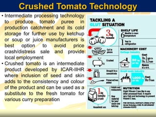 Crushed Tomato Technology
• Intermediate processing technology
to produce tomato puree in
production catchment and its cold
storage for further use by ketchup
or soup or juice manufacturers is
best option to avoid price
crash/distress sale and provide
local employment
• Crushed tomato is an intermediate
product developed by ICAR-IIHR
where inclusion of seed and skin
adds to the consistency and colour
of the product and can be used as a
substitute to the fresh tomato for
various curry preparation
 