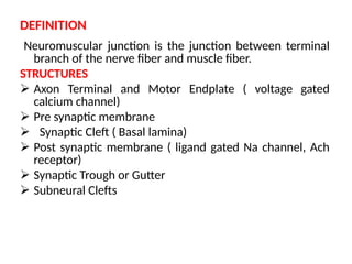 Comprehensive Overview of Neuromuscular Junction Structure and Function ...