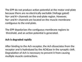 Epip Junction Nerve muscle physiology- Neuro muscular junction | PPTX