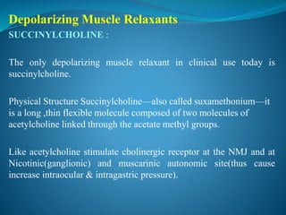 Depolarizing Muscle Relaxants
SUCCINYLCHOLINE :
The only depolarizing muscle relaxant in clinical use today is
succinylcholine.
Physical Structure Succinylcholine—also called suxamethonium—it
is a long ,thin flexible molecule composed of two molecules of
acetylcholine linked through the acetate methyl groups.
Like acetylcholine stimulate cholinergic receptor at the NMJ and at
Nicotinic(ganglionic) and muscarinic autonomic site(thus cause
increase intraocular & intragastric pressure).
 