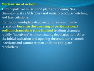 Mechanism of Action:
They depolarize muscle end plates by opening Na+
channels (just as ACh does) and initially produce twitching
and fasciculations.
Continuous end-plate depolarization causes muscle
relaxation because the opening of perijunctional
sodium channels is time limited (sodium channels
rapidly “inactivate” with continuing depolarization. After
the initial excitation and opening these sodium channels
inactivate and cannot reopen until the end-plate
repolarizes.
 