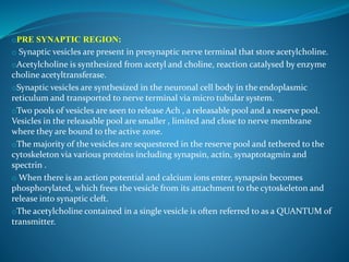 oPRE SYNAPTIC REGION:
o Synaptic vesicles are present in presynaptic nerve terminal that store acetylcholine.
oAcetylcholine is synthesized from acetyl and choline, reaction catalysed by enzyme
choline acetyltransferase.
oSynaptic vesicles are synthesized in the neuronal cell body in the endoplasmic
reticulum and transported to nerve terminal via micro tubular system.
oTwo pools of vesicles are seen to release Ach , a releasable pool and a reserve pool.
Vesicles in the releasable pool are smaller , limited and close to nerve membrane
where they are bound to the active zone.
oThe majority of the vesicles are sequestered in the reserve pool and tethered to the
cytoskeleton via various proteins including synapsin, actin, synaptotagmin and
spectrin .
o When there is an action potential and calcium ions enter, synapsin becomes
phosphorylated, which frees the vesicle from its attachment to the cytoskeleton and
release into synaptic cleft.
oThe acetylcholine contained in a single vesicle is often referred to as a QUANTUM of
transmitter.
 