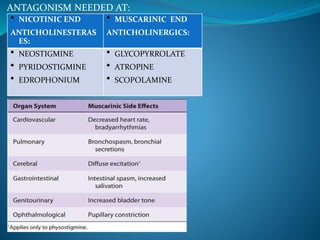 ANTAGONISM NEEDED AT:
• NICOTINIC END
ANTICHOLINESTERAS
ES:
• MUSCARINIC END
ANTICHOLINERGICS:
• NEOSTIGMINE
• PYRIDOSTIGMINE
• EDROPHONIUM
• GLYCOPYRROLATE
• ATROPINE
• SCOPOLAMINE
 