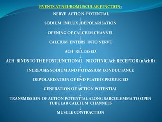 EVENTS AT NEUROMUSCULAR JUNCTION:
NERVE ACTION POTENTIAL
↓
SODIUM INFLUX ,DEPOLARISATION
↓
OPENING OF CALCIUM CHANNEL
↓
CALCIUM ENTERS INTO NERVE
↓
ACH RELEASED
↓
ACH BINDS TO THE POST JUNCTIONAL NICOTINIC Ach RECEPTOR (nAchR)
↓
INCREASES SODIUM AND POTASSIUM CONDUCTANCE
↓
DEPOLARISATION OF END PLATE IS PRODUCED
↓
GENERATION OF ACTION POTENTIAL
↓
TRANSMISSION OF ACTION POTENTIAL ALONG SARCOLEMMA TO OPEN
TUBULAR CALCIUM CHANNELS
↓
MUSCLE CONTRACTION
 