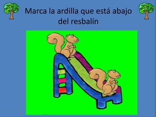 Marca la ardilla que está abajo
del resbalín

 
