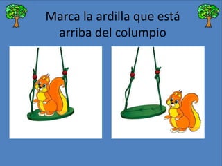 Marca la ardilla que está
arriba del columpio

 