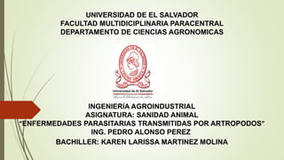 UNIVERSIDAD DE EL SALVADOR
FACULTAD MULTIDICIPLINARIA PARACENTRAL
DEPARTAMENTO DE CIENCIAS AGRONOMICAS
INGENIERÍA AGROINDUSTRIAL
ASIGNATURA: SANIDAD ANIMAL
“ENFERMEDADES PARASITARIAS TRANSMITIDAS POR ARTROPODOS”
ING. PEDRO ALONSO PEREZ
BACHILLER: KAREN LARISSA MARTINEZ MOLINA
 