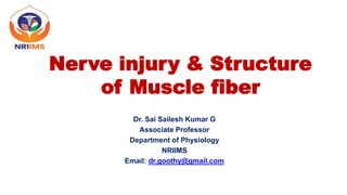 Nerve injury & Structure
of Muscle fiber
Dr. Sai Sailesh Kumar G
Associate Professor
Department of Physiology
NRIIMS
Email: dr.goothy@gmail.com
 