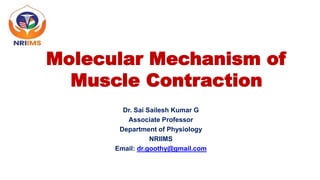 Molecular Mechanism of
Muscle Contraction
Dr. Sai Sailesh Kumar G
Associate Professor
Department of Physiology
NRIIMS
Email: dr.goothy@gmail.com
 