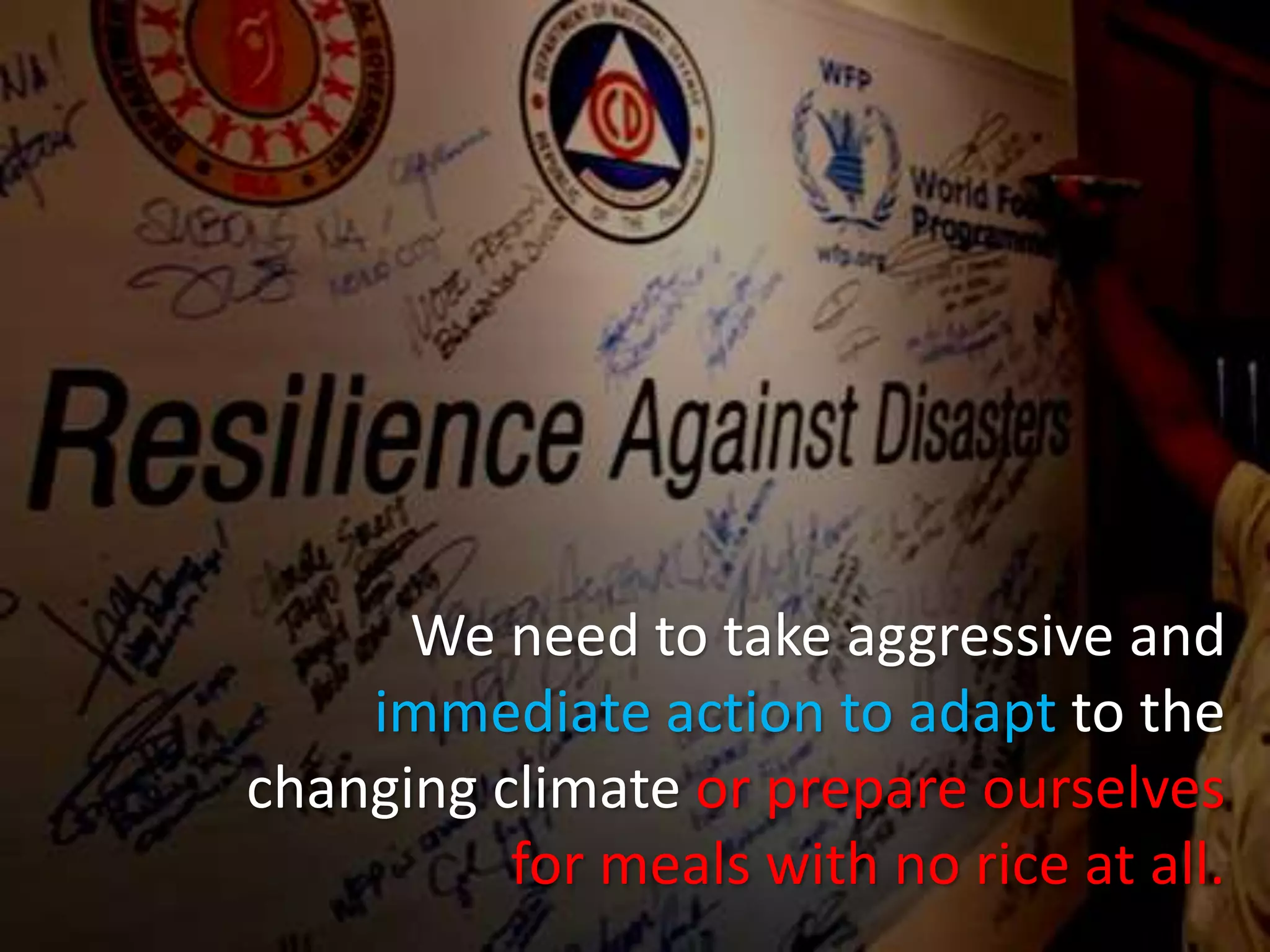 We need to take aggressive and
immediate action to adapt to the
changing climate or prepare ourselves
for meals with no rice at all.