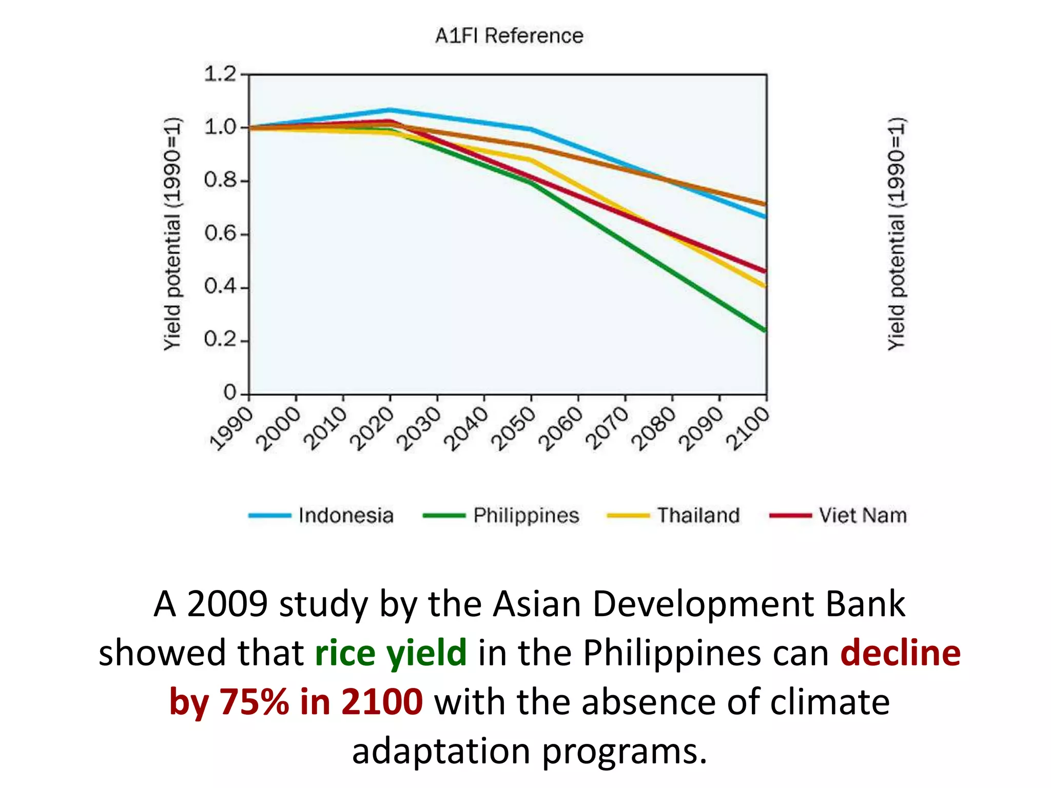 A 2009 study by the Asian Development Bank
showed that rice yield in the Philippines can decline
by 75% in 2100 with the absence of climate
adaptation programs.
