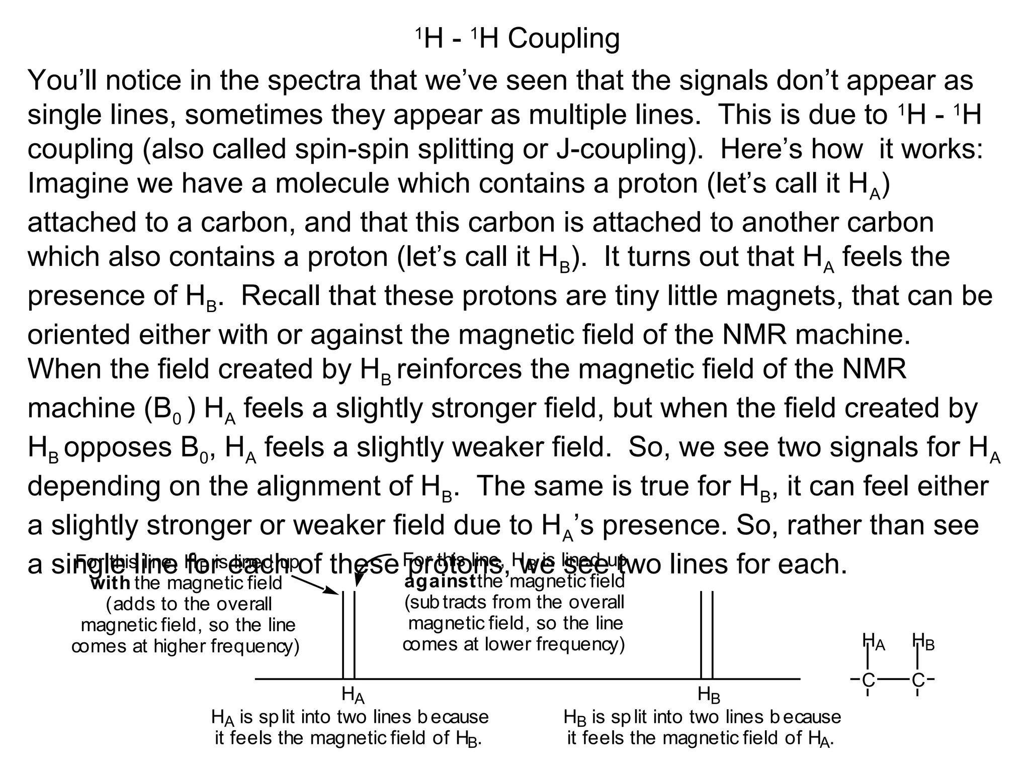 1H - 1H Coupling 
You’ll notice in the spectra that we’ve seen that the signals don’t appear as 
single lines, sometimes they appear as multiple lines. This is due to 1H - 1H 
coupling (also called spin-spin splitting or J-coupling). Here’s how it works: 
Imagine we have a molecule which contains a proton (let’s call it HA) 
attached to a carbon, and that this carbon is attached to another carbon 
which also contains a proton (let’s call it HB). It turns out that HA feels the 
presence of HB. Recall that these protons are tiny little magnets, that can be 
oriented either with or against the magnetic field of the NMR machine. 
When the field created by HB reinforces the magnetic field of the NMR 
machine (B0 ) HA feels a slightly stronger field, but when the field created by 
HB opposes B0, HA feels a slightly weaker field. So, we see two signals for HA 
depending on the alignment of HB. The same is true for HB, it can feel either 
a slightly stronger or weaker field due to HA’s presence. So, rather than see 
a single line for each of these protons, we see two lines for each. 
HA HB 
C C 
HA HB 
HA is sp lit into two lines b ecause 
it feels the magnetic field of HB. 
HB is sp lit into two lines b ecause 
it feels the magnetic field of HA. 
For this line, HB is lined up 
with the magnetic field 
(adds to the overall 
magnetic field, so the line 
comes at higher frequency) 
For this line, HB is lined up 
against the magnetic field 
(sub tracts from the overall 
magnetic field, so the line 
comes at lower frequency) 
 