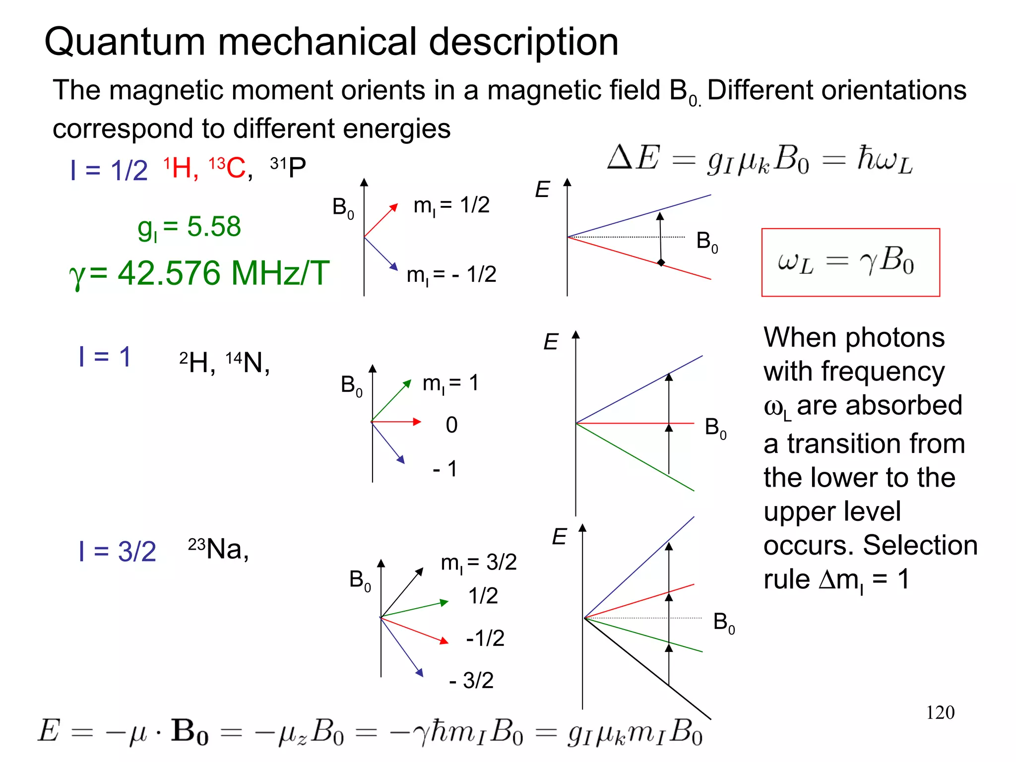 Quantum mechanical description 
The magnetic moment orients in a magnetic field B0. Different orientations 
correspond to different energies 
120 
B0 
I = 1/2 
mI = 1/2 
mI = - 1/2 
E 
B0 
1H, 13C, 31P 
B0 
I = 1 
mI = 1 
- 1 
E 
B0 
2H, 14N, 
0 
I = 3/2 mI = 3/2 
B0 
1/2 
- 3/2 
E 
B0 
23Na, 
-1/2 
gI = 5.58 
When photons 
with frequency 
wL are absorbed 
a transition from 
the lower to the 
upper level 
occurs. Selection 
rule DmI = 1 
g = 42.576 MHz/T 
 