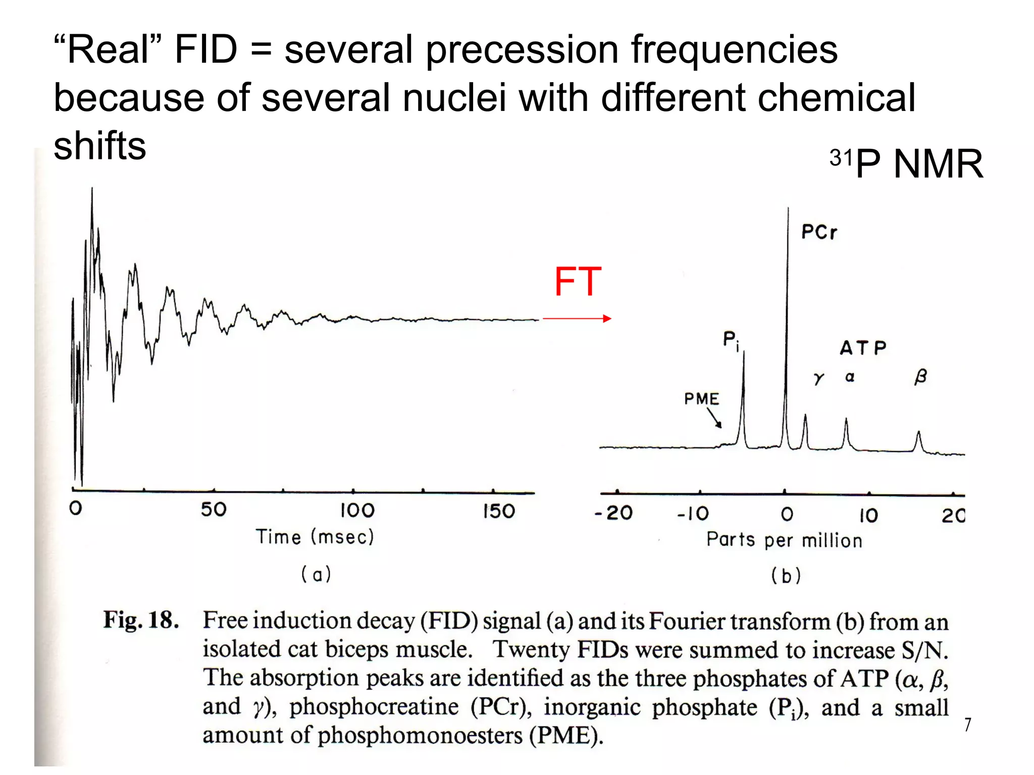 “Real” FID = several precession frequencies 
because of several nuclei with different chemical 
shifts 31P NMR 
137 
FT 
 