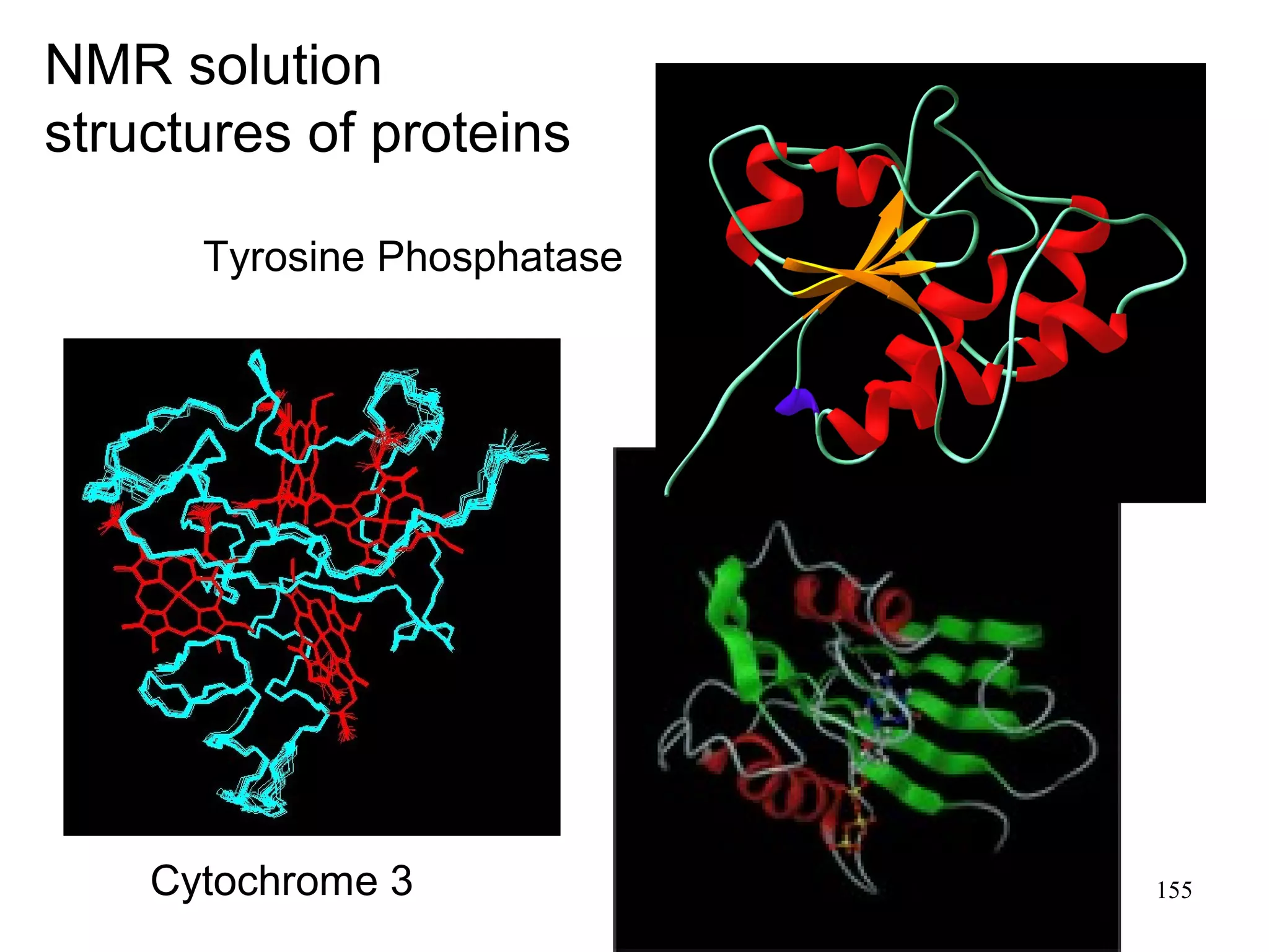 NMR solution 
structures of proteins 
Tyrosine Phosphatase 
Cytochrome 3 155 
 