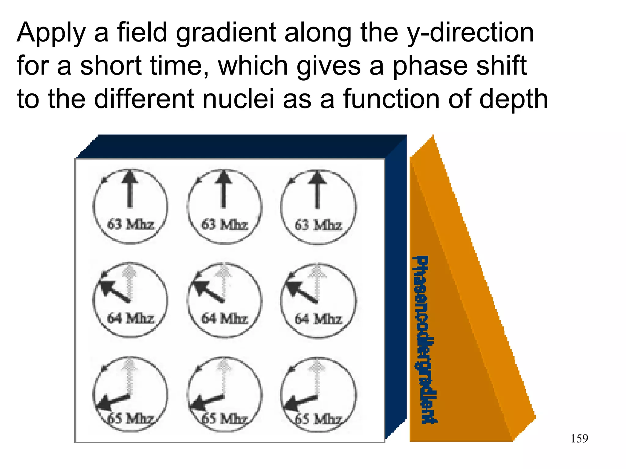159 
Apply a field gradient along the y-direction 
for a short time, which gives a phase shift 
to the different nuclei as a function of depth 
 