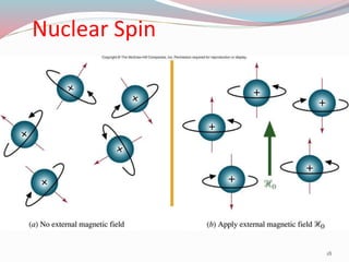 Nuclear Spin
18
 