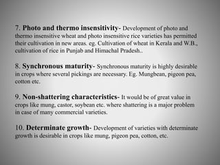 7. Photo and thermo insensitivity- Development of photo and 
thermo insensitive wheat and photo insensitive rice varieties has permitted 
their cultivation in new areas. eg. Cultivation of wheat in Kerala and W.B., 
cultivation of rice in Punjab and Himachal Pradesh.. 
8. Synchronous maturity- Synchronous maturity is highly desirable 
in crops where several pickings are necessary. Eg. Mungbean, pigeon pea, 
cotton etc. 
9. Non-shattering characteristics- It would be of great value in 
crops like mung, castor, soybean etc. where shattering is a major problem 
in case of many commercial varieties. 
10. Determinate growth- Development of varieties with determinate 
growth is desirable in crops like mung, pigeon pea, cotton, etc. 
 