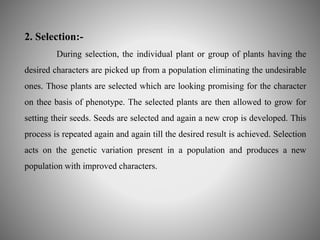 2. Selection:- 
During selection, the individual plant or group of plants having the 
desired characters are picked up from a population eliminating the undesirable 
ones. Those plants are selected which are looking promising for the character 
on thee basis of phenotype. The selected plants are then allowed to grow for 
setting their seeds. Seeds are selected and again a new crop is developed. This 
process is repeated again and again till the desired result is achieved. Selection 
acts on the genetic variation present in a population and produces a new 
population with improved characters. 
 