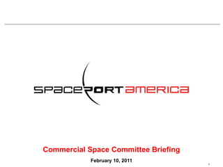 Commercial Space Committee Briefing
            February 10, 2011
                                      1
 